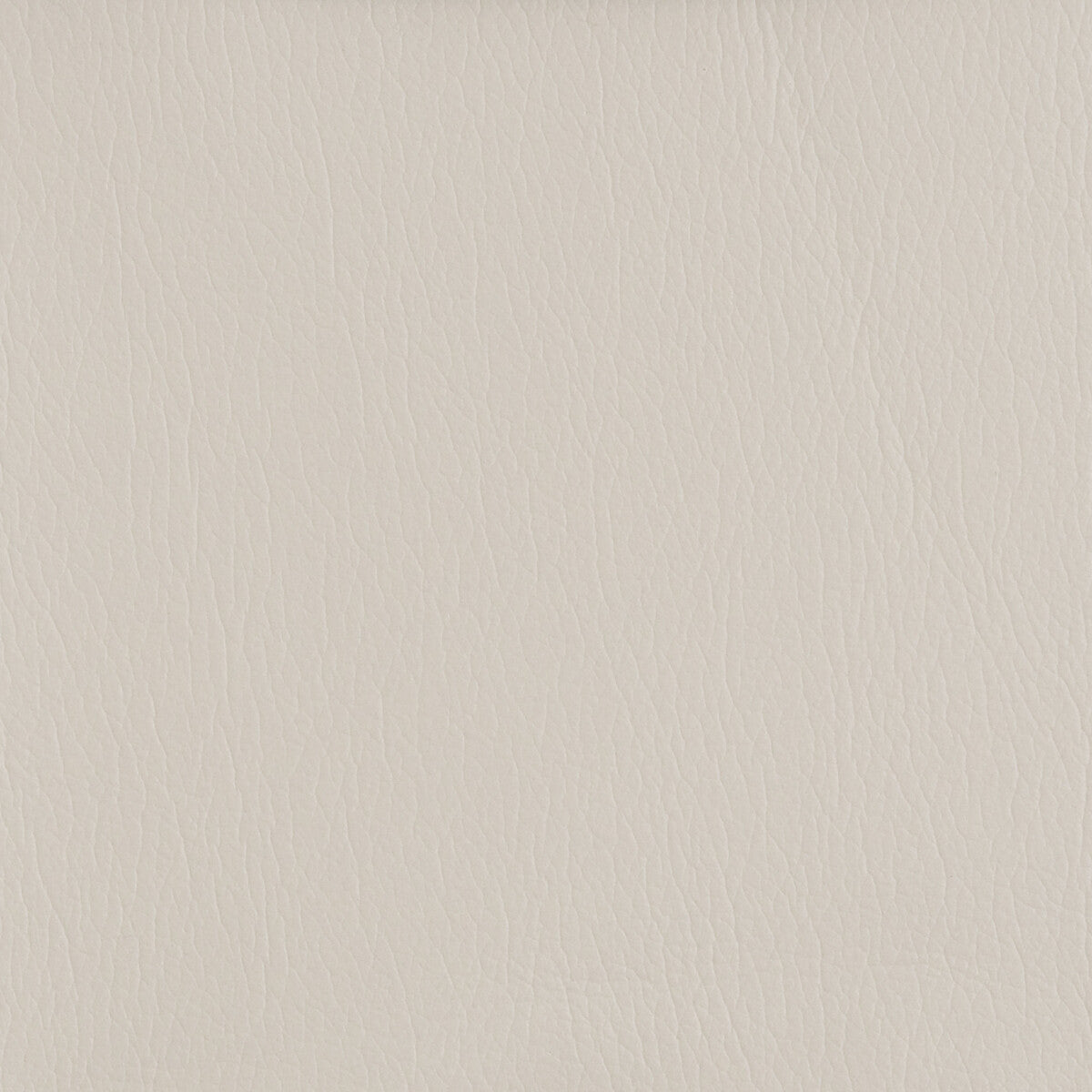 KRAVET DESIGN GATO.116.0 KRAVET DESIGN GATO-116 Fabric - Eade's Wallpaper