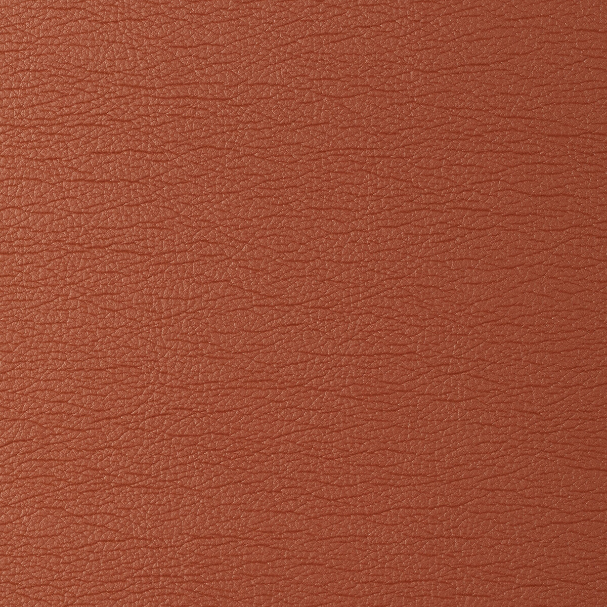 KRAVET DESIGN GATO.12.0 KRAVET DESIGN GATO-12 Fabric - Eade's Wallpaper