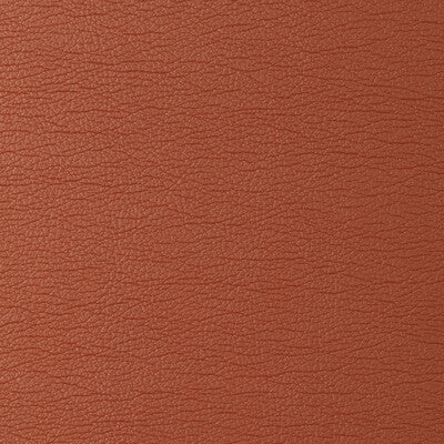 KRAVET DESIGN GATO.12.0 KRAVET DESIGN GATO-12 Fabric - Eade's Wallpaper