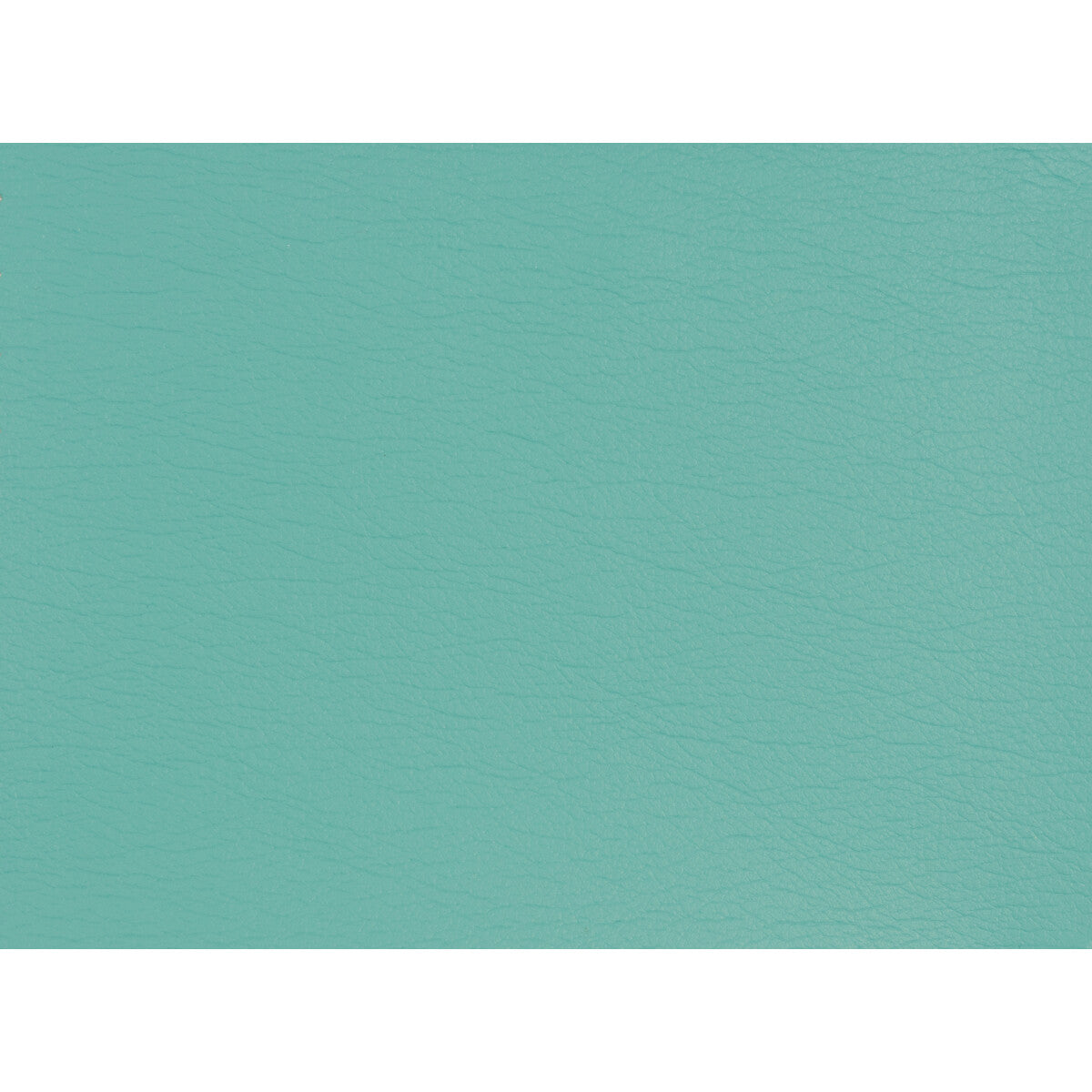 KRAVET DESIGN GATO.13.0 KRAVET DESIGN GATO-13 Fabric - Eade's Wallpaper