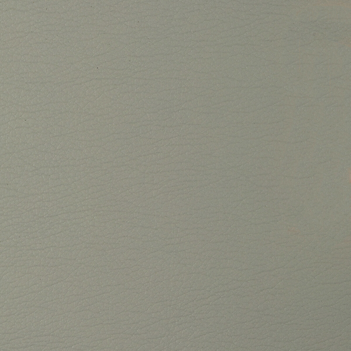 KRAVET DESIGN GATO.1611.0 KRAVET DESIGN GATO-1611 Fabric - Eade's Wallpaper