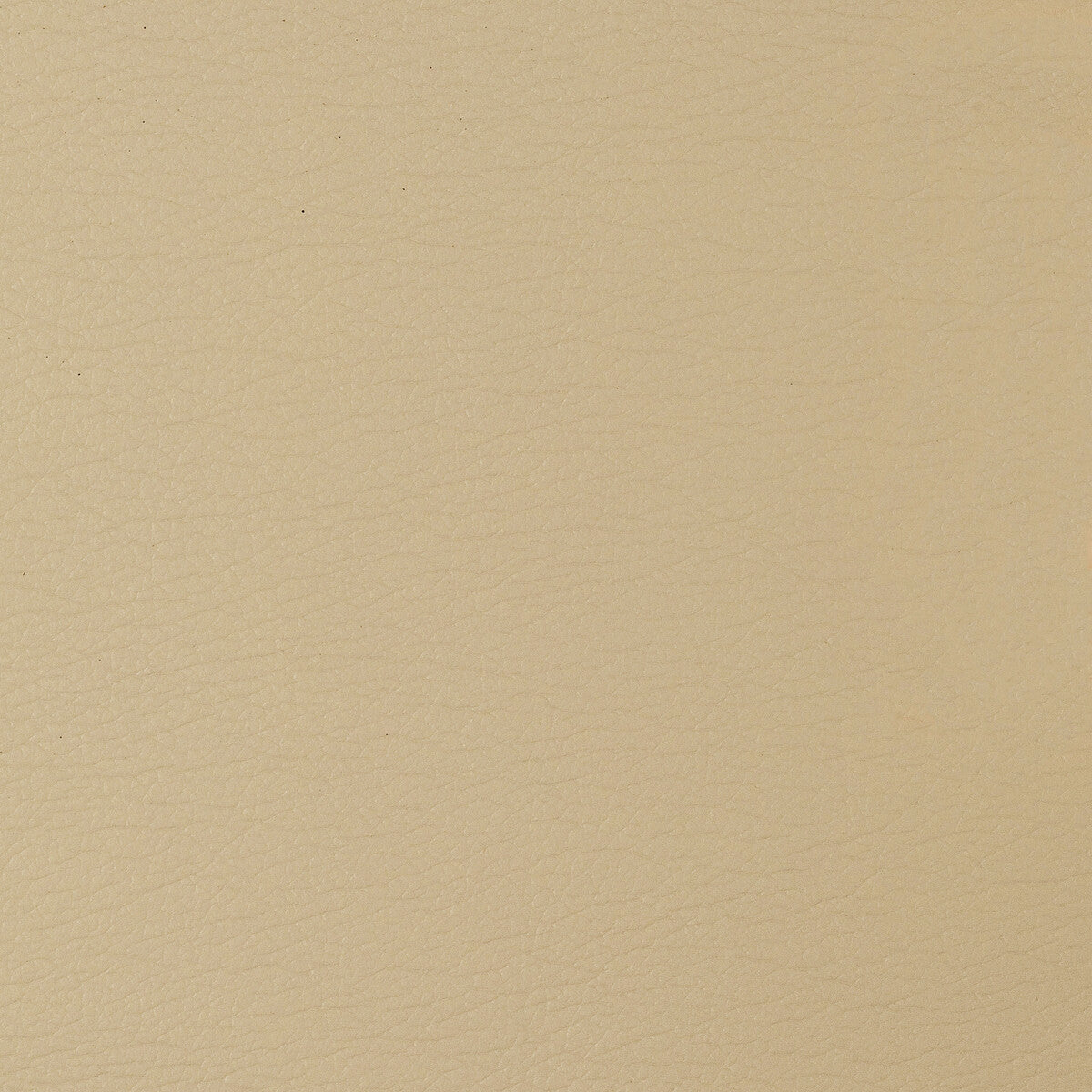 KRAVET DESIGN GATO.1616.0 KRAVET DESIGN GATO-1616 Fabric - Eade's Wallpaper