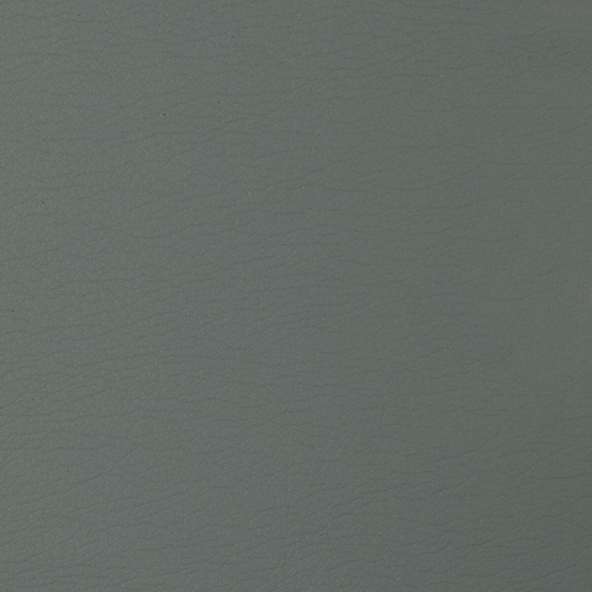 KRAVET DESIGN GATO.2111.0 KRAVET DESIGN GATO-2111 Fabric - Eade's Wallpaper