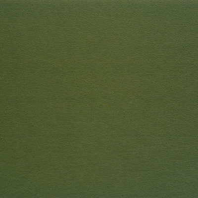 KRAVET DESIGN GATO.35.0 KRAVET DESIGN GATO-35 Fabric - Eade's Wallpaper