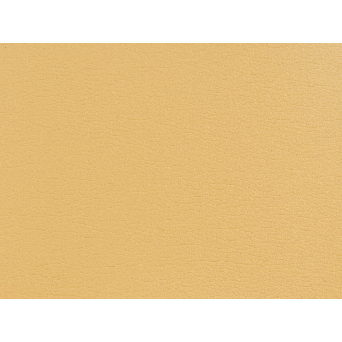 KRAVET DESIGN GATO.404.0 KRAVET DESIGN GATO-404 Fabric - Eade's Wallpaper