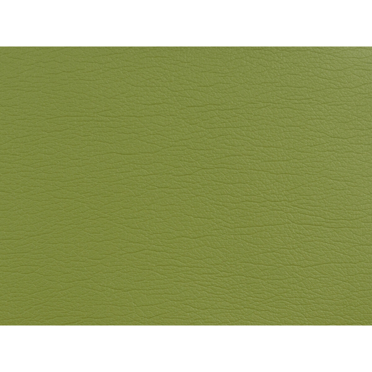 KRAVET DESIGN GATO.5353.0 KRAVET DESIGN GATO-5353 Fabric - Eade's Wallpaper