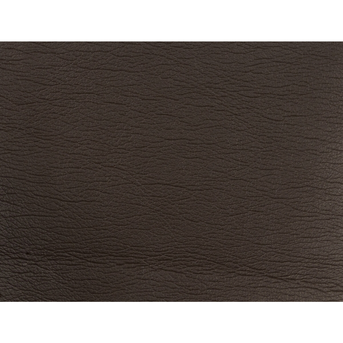 KRAVET DESIGN GATO.6666.0 KRAVET DESIGN GATO-6666 Fabric - Eade's Wallpaper