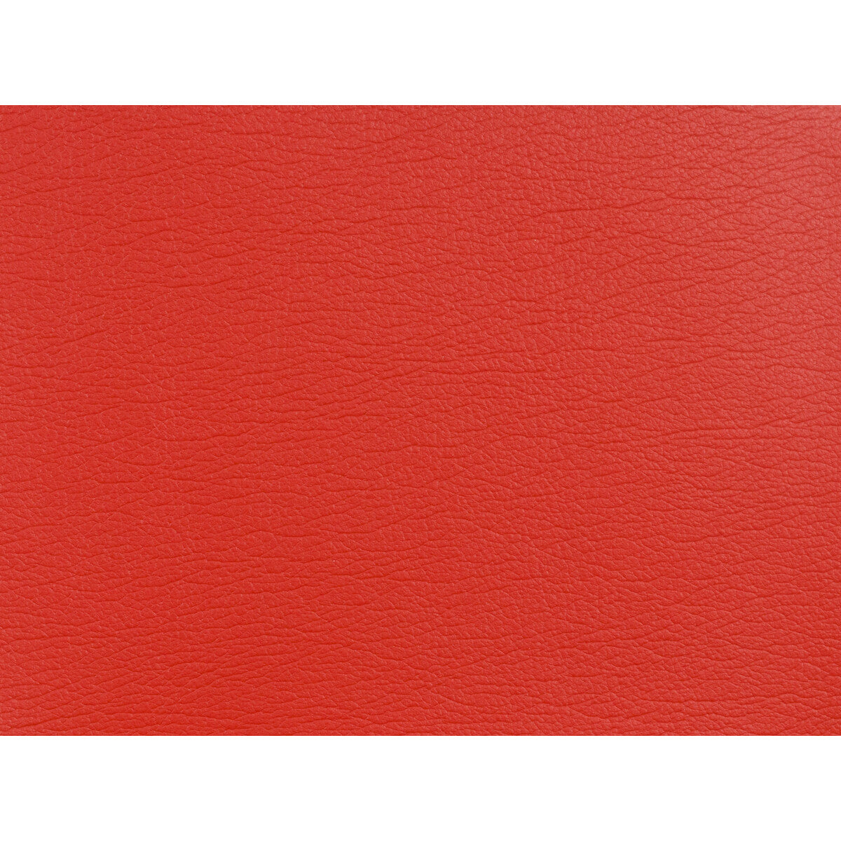 KRAVET DESIGN GATO.99.0 KRAVET DESIGN GATO-99 Fabric - Eade's Wallpaper