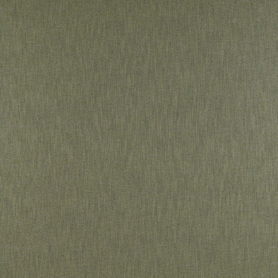 GASTON Y DANIELA GDT5204.018.0 CHAMBERI VERDE Fabric - Eade's Wallpaper