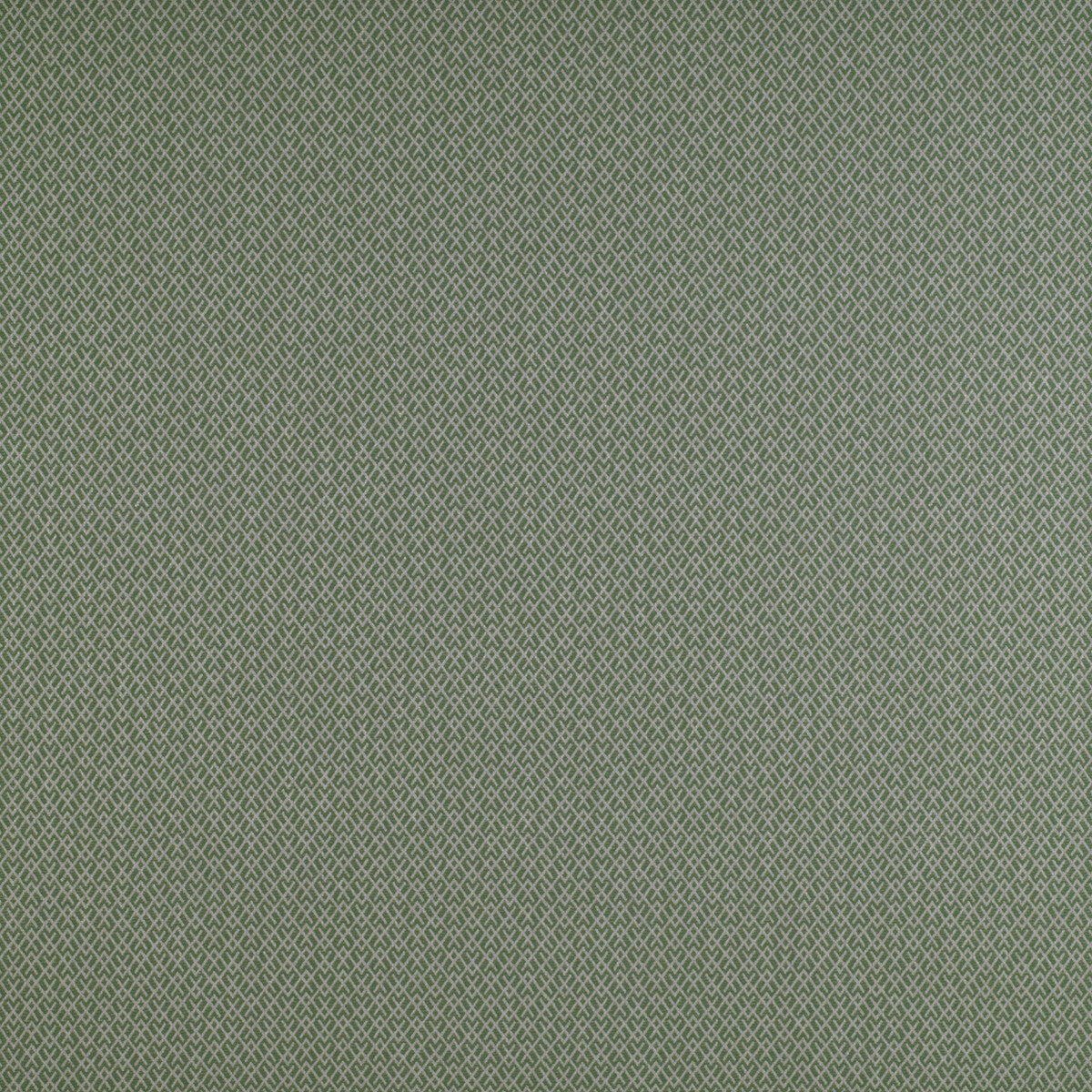 GASTON Y DANIELA GDT5205.014.0 CHUECA VERDE Fabric - Eade's Wallpaper