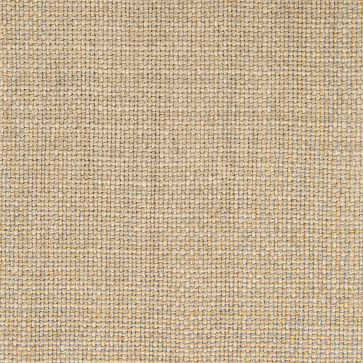 GASTON Y DANIELA GDT5239.002.0 NICARAGUA VISON Fabric - Eade's Wallpaper