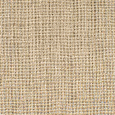 GASTON Y DANIELA GDT5239.002.0 NICARAGUA VISON Fabric - Eade's Wallpaper