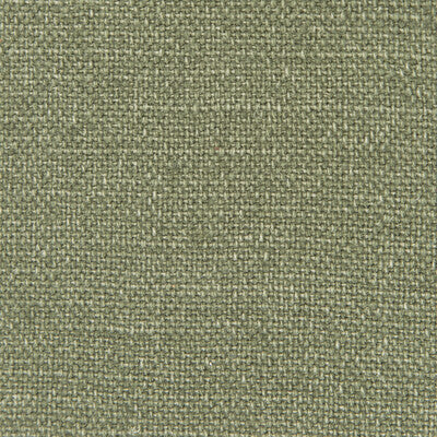 GASTON Y DANIELA GDT5239.012.0 NICARAGUA VERDE OSCURO Fabric - Eade's Wallpaper