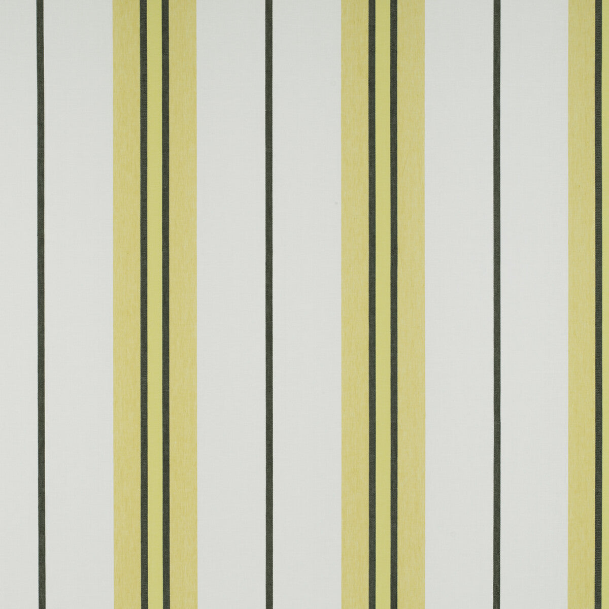 GASTON Y DANIELA GDT5310.001.0 BURANO ONYX/AMARILLO Fabric - Eade's Wallpaper