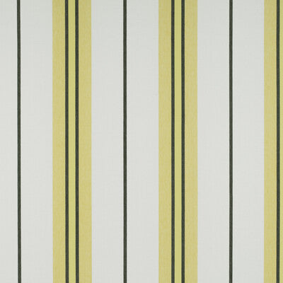 GASTON Y DANIELA GDT5310.001.0 BURANO ONYX/AMARILLO Fabric - Eade's Wallpaper
