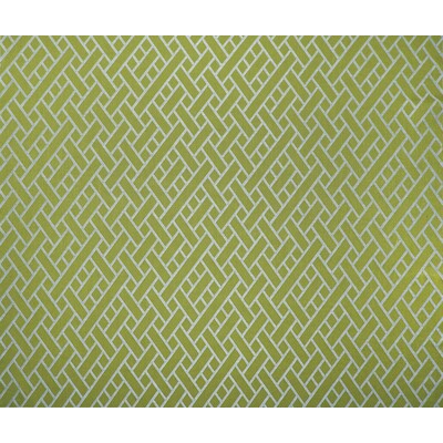 GASTON Y DANIELA GDT5374.4.0 NAIROBI VERDE Fabric - Eade's Wallpaper