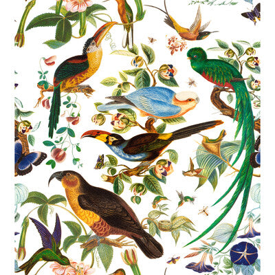 GASTON Y DANIELA GDT5562.001.0 OAXACA BLANCO Fabric - Eade's Wallpaper