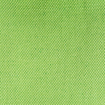 GASTON Y DANIELA GDT5616.010.0 LIMA VERDE CLARO Fabric - Eade's Wallpaper