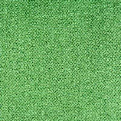 GASTON Y DANIELA GDT5616.011.0 LIMA VERDE Fabric - Eade's Wallpaper