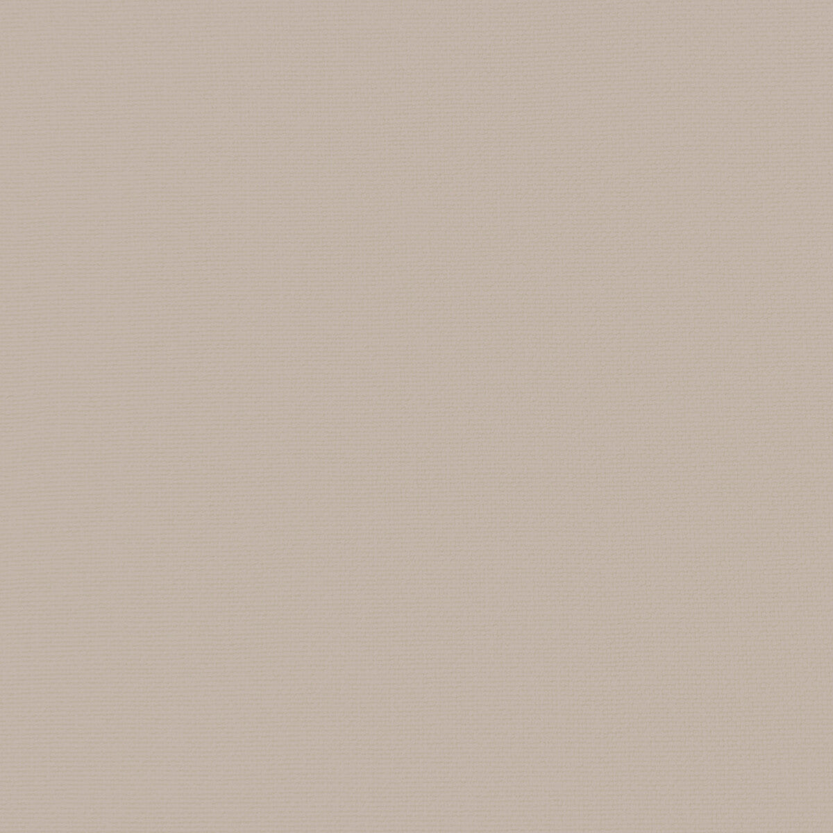 GASTON Y DANIELA GDT5688.008.0 PALMA TOPO Fabric - Eade's Wallpaper