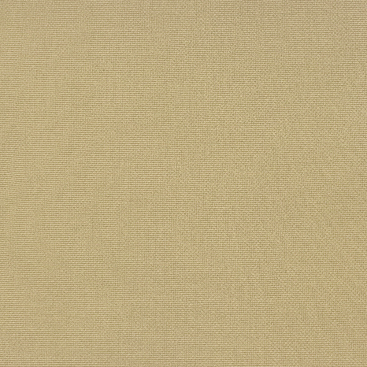 GASTON Y DANIELA GDT5688.010.0 PALMA CUERDA Fabric - Eade's Wallpaper