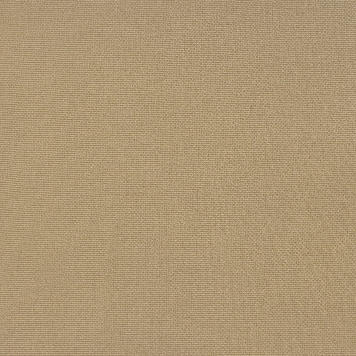 GASTON Y DANIELA GDT5688.011.0 PALMA TIERRA Fabric - Eade's Wallpaper