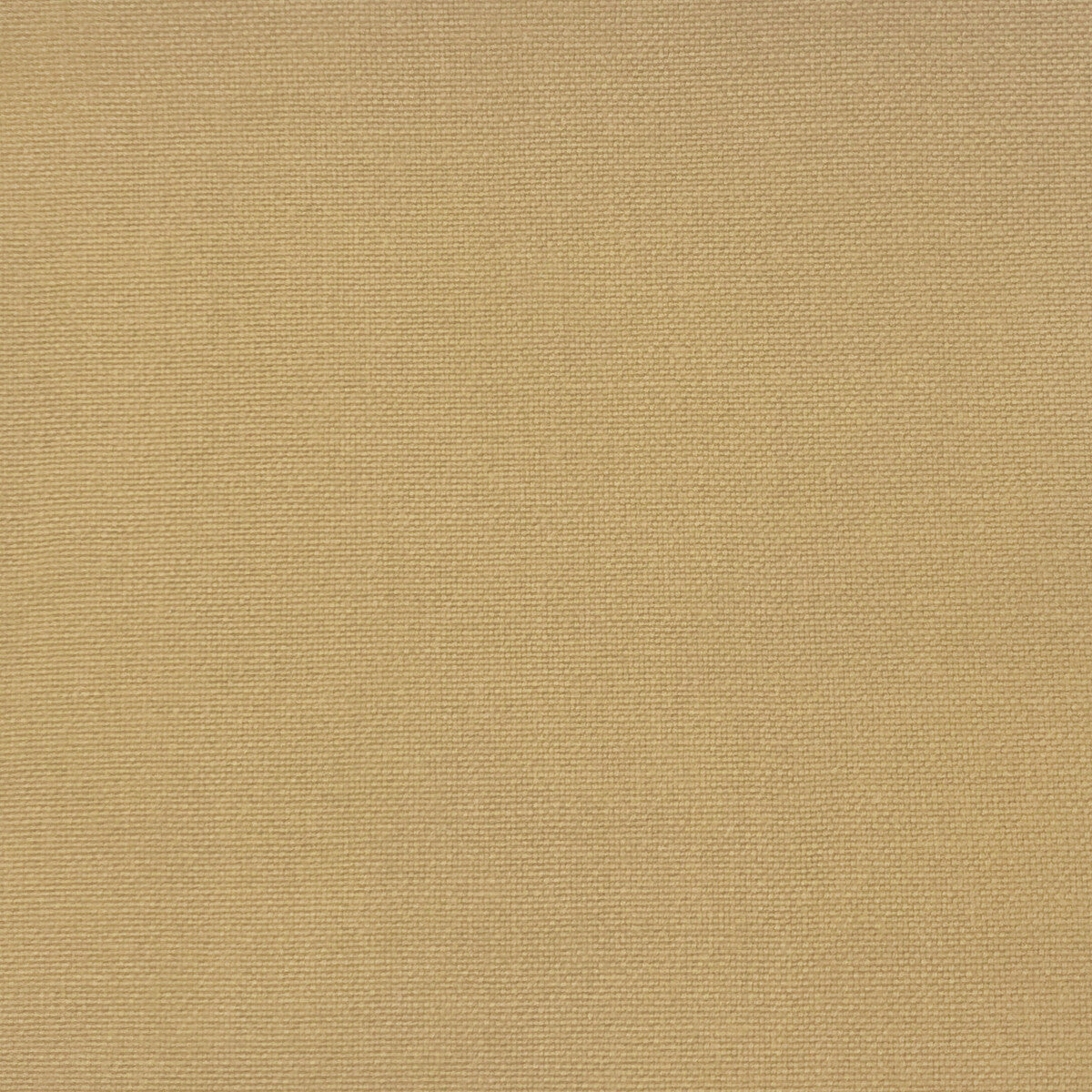 GASTON Y DANIELA GDT5688.012.0 PALMA BARQUILLO Fabric - Eade's Wallpaper