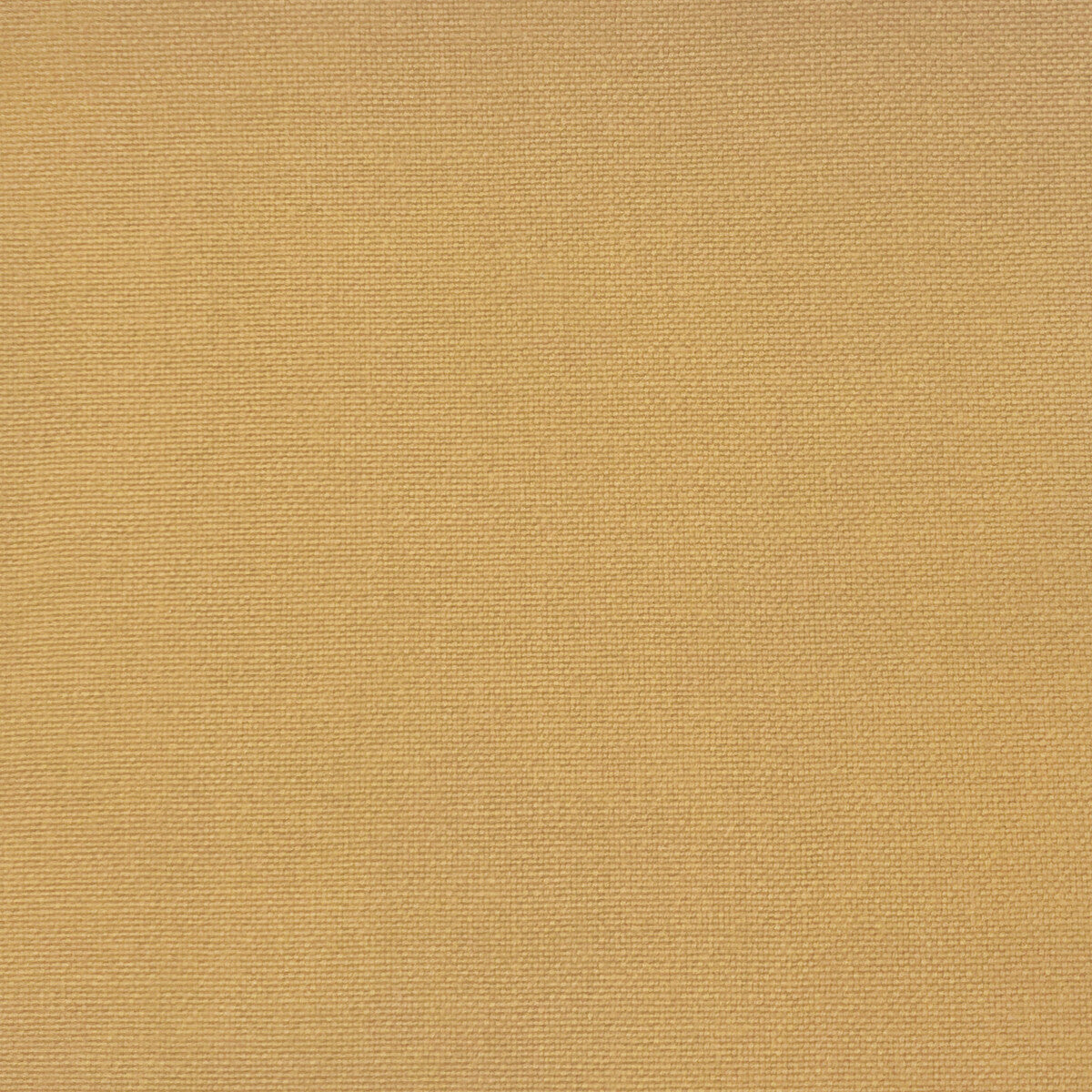 GASTON Y DANIELA GDT5688.013.0 PALMA OCRE Fabric - Eade's Wallpaper