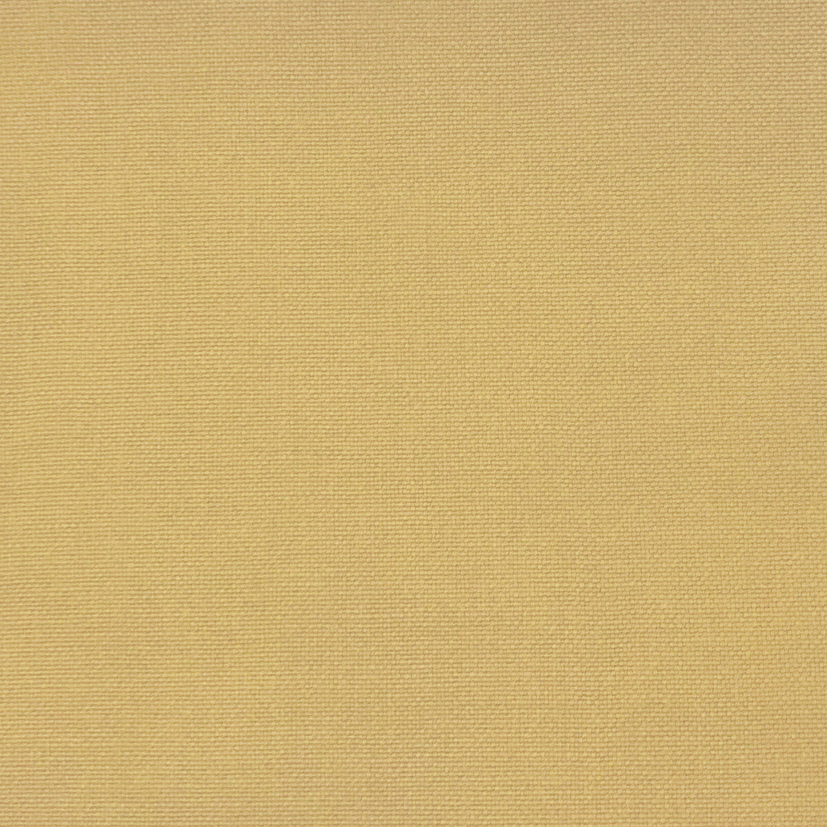 GASTON Y DANIELA GDT5688.014.0 PALMA AMARILLO CLARO Fabric - Eade's Wallpaper