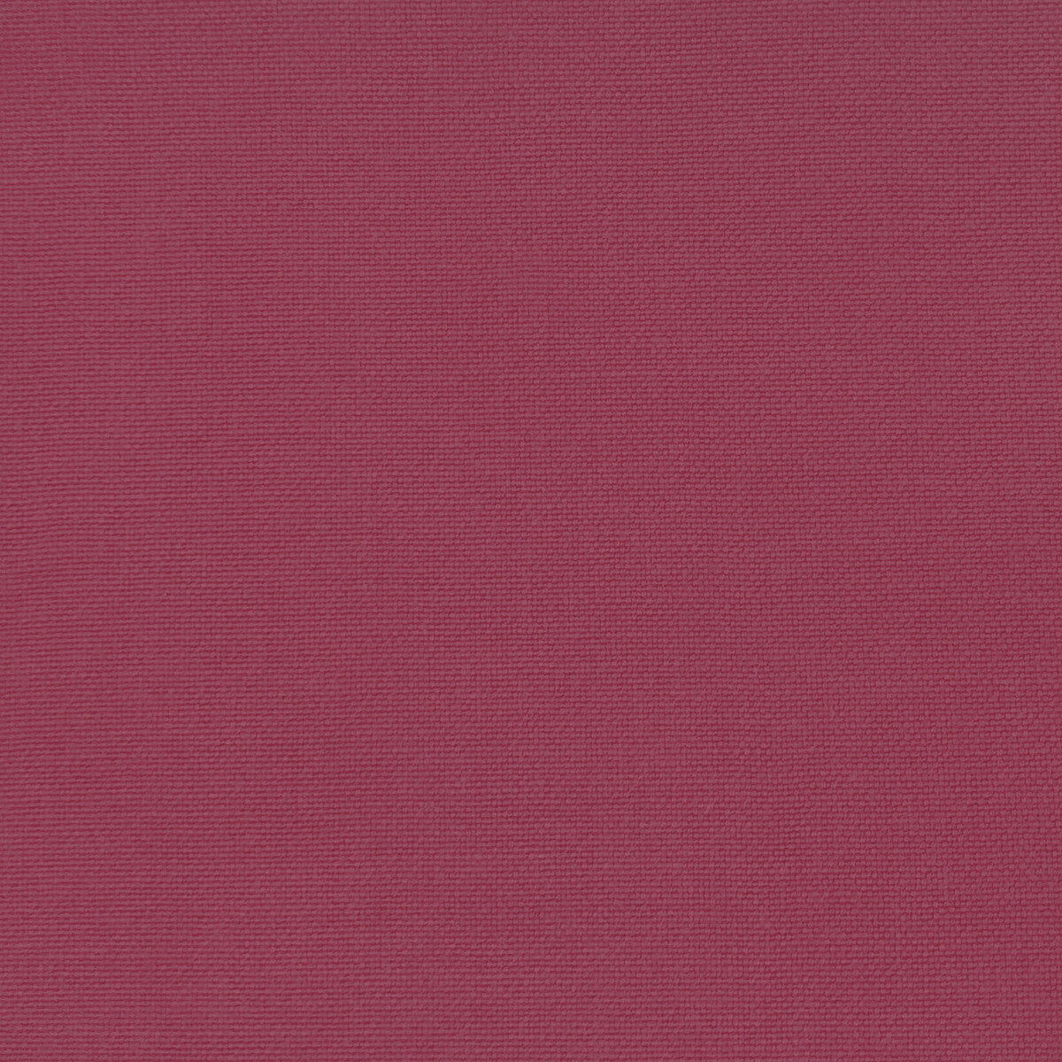 GASTON Y DANIELA GDT5688.028.0 PALMA FRAMBUESA Fabric - Eade's Wallpaper