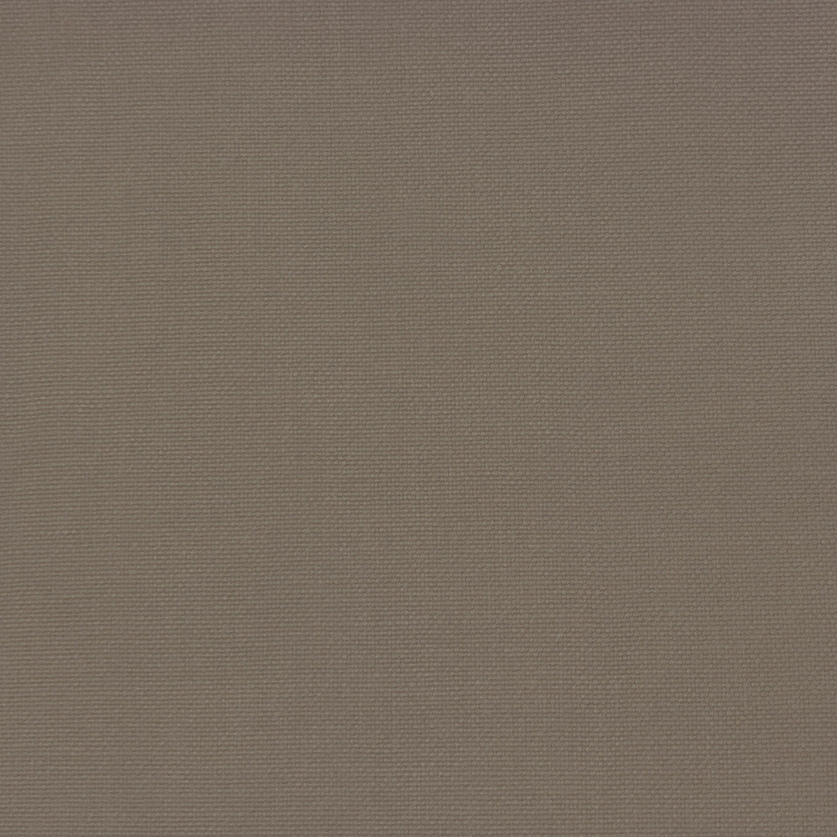 GASTON Y DANIELA GDT5688.036.0 PALMA CARTON Fabric - Eade's Wallpaper