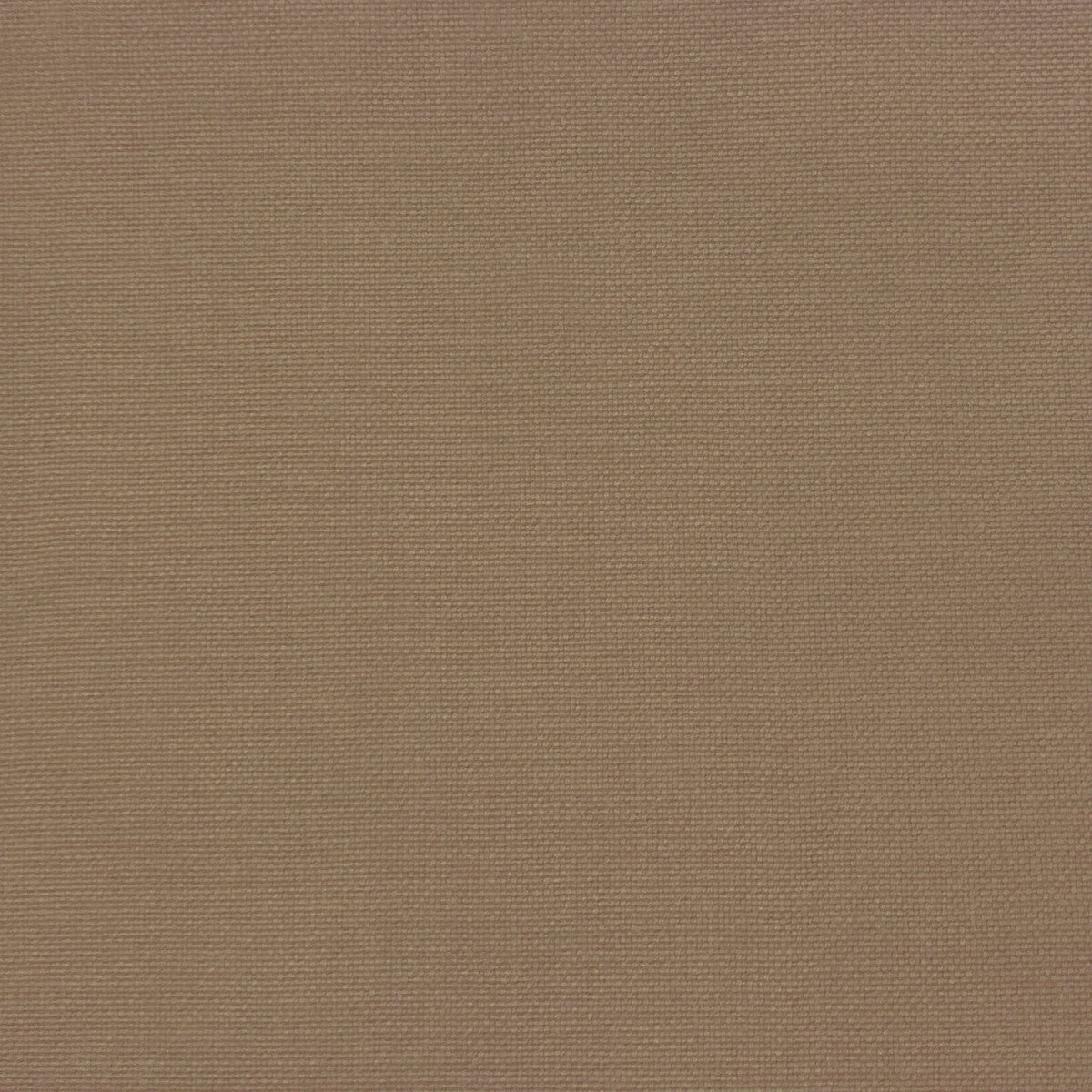 GASTON Y DANIELA GDT5688.038.0 PALMA CAFE Fabric - Eade's Wallpaper