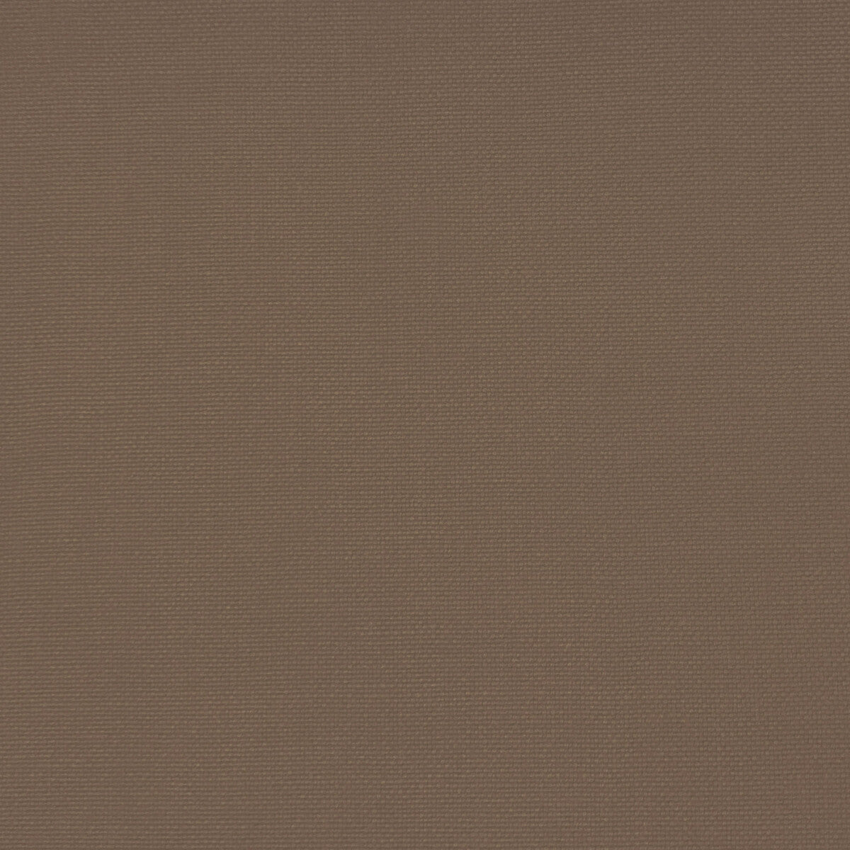 GASTON Y DANIELA GDT5688.040.0 PALMA AVELLANA Fabric - Eade's Wallpaper