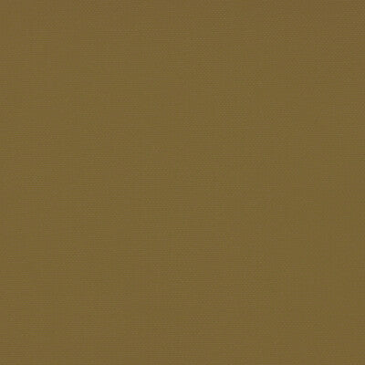 GASTON Y DANIELA GDT5688.053.0 PALMA ACEITUNA Fabric - Eade's Wallpaper