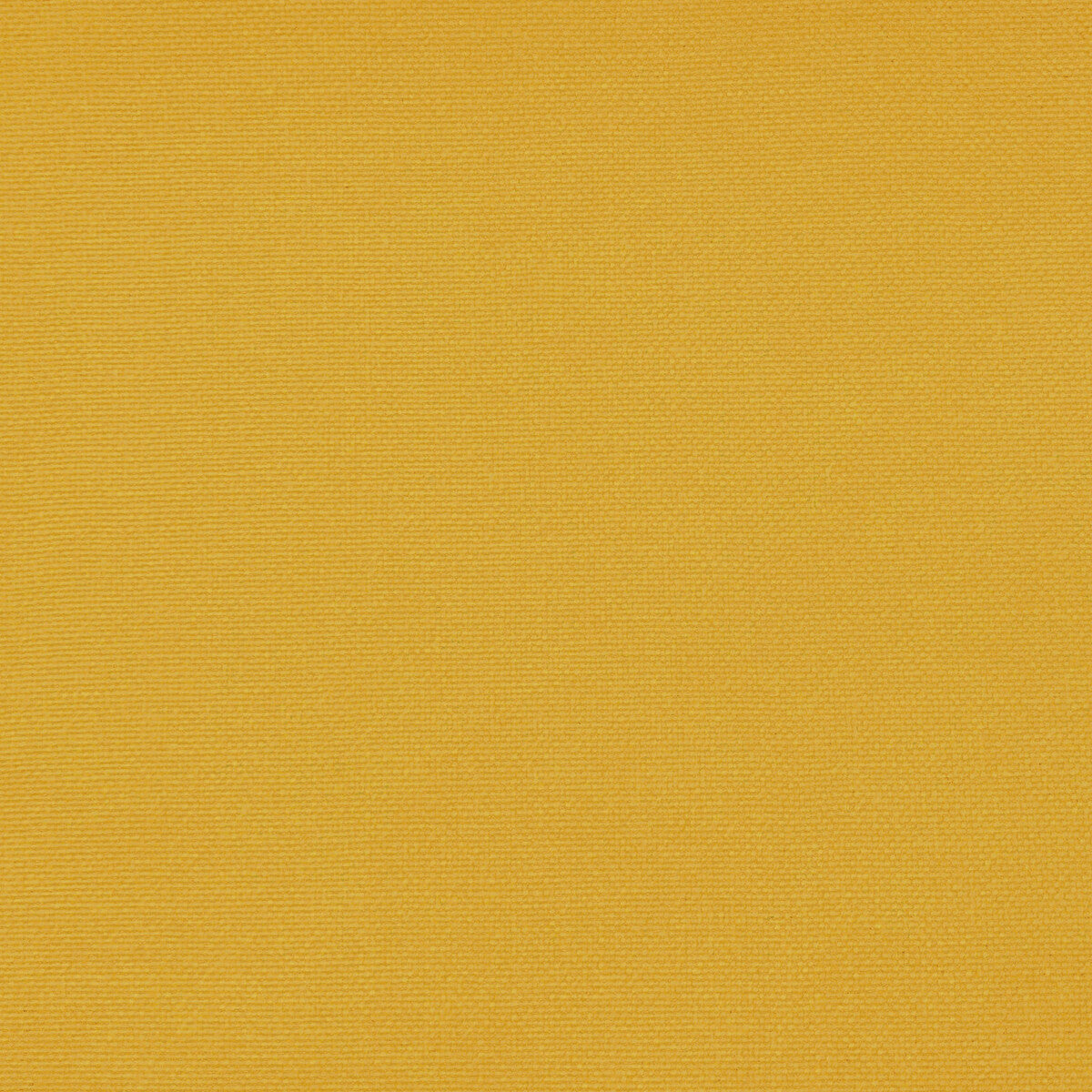 GASTON Y DANIELA GDT5688.056.0 PALMA LIMON Fabric - Eade's Wallpaper