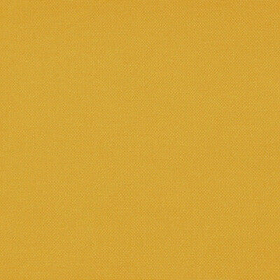 GASTON Y DANIELA GDT5688.056.0 PALMA LIMON Fabric - Eade's Wallpaper
