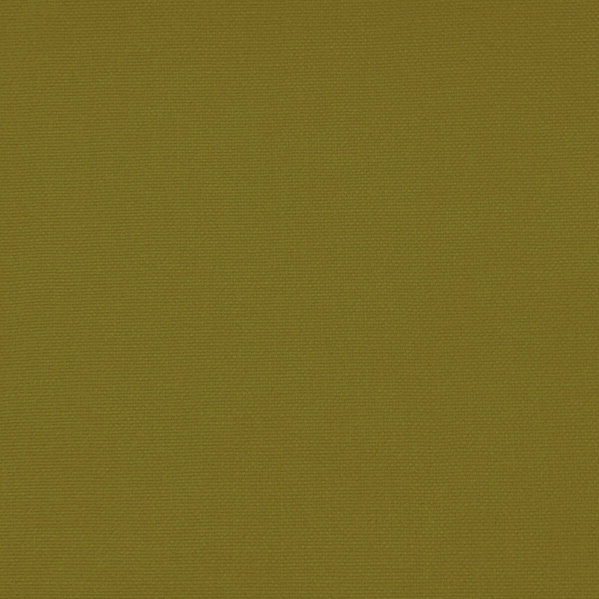 GASTON Y DANIELA GDT5688.058.0 PALMA LIMA Fabric - Eade's Wallpaper