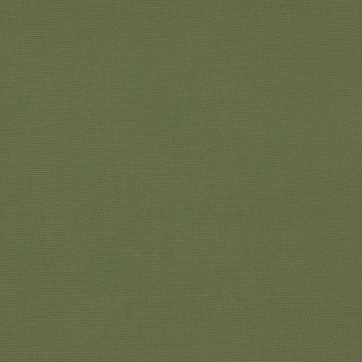 GASTON Y DANIELA GDT5688.062.0 PALMA VERDE AGUA Fabric - Eade's Wallpaper