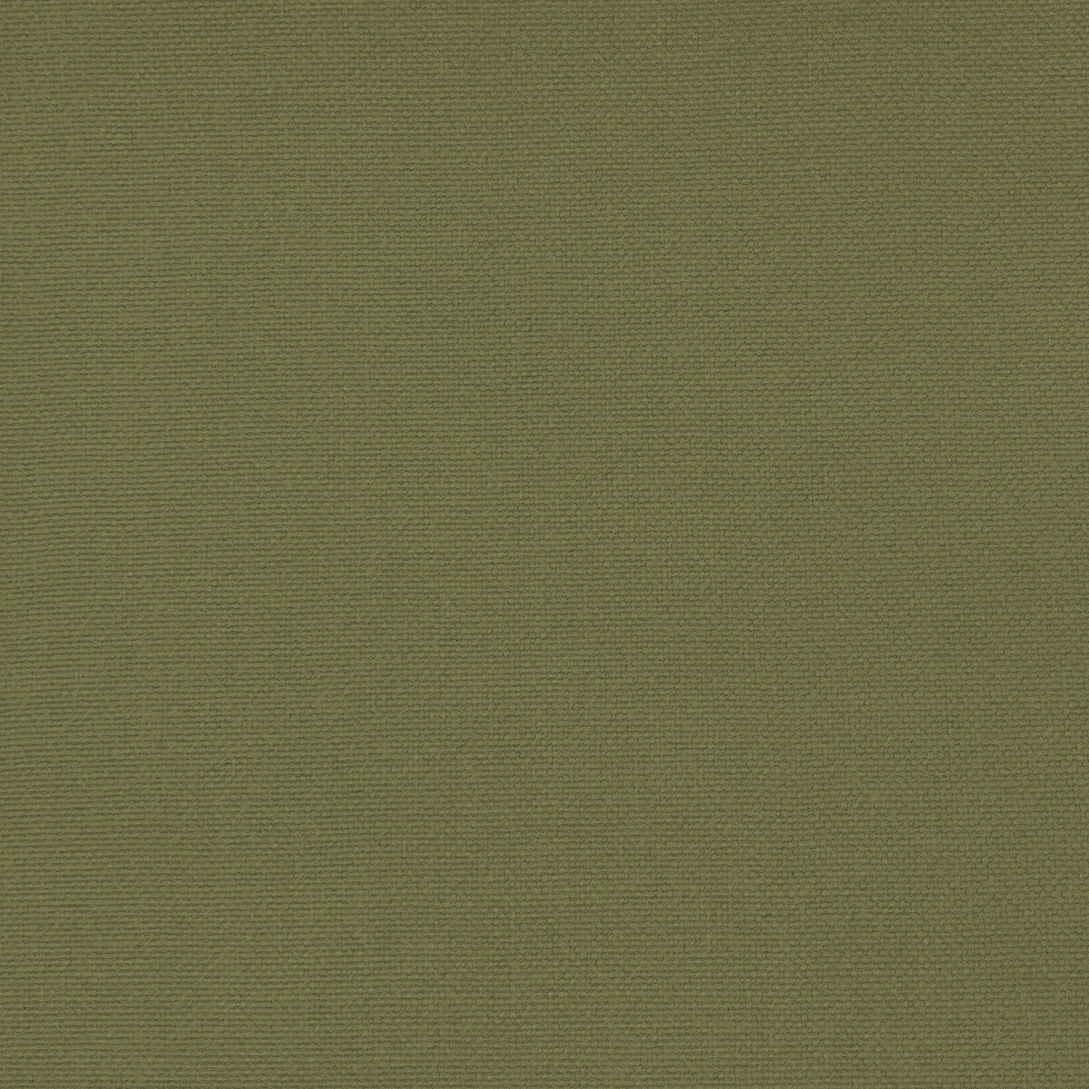 GASTON Y DANIELA GDT5688.063.0 PALMA VERDE ALAMO Fabric - Eade's Wallpaper