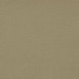 GASTON Y DANIELA GDT5688.064.0 PALMA CARACOL Fabric - Eade's Wallpaper