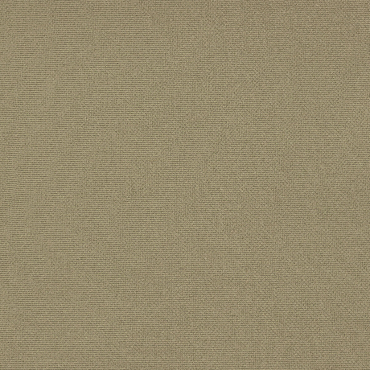 GASTON Y DANIELA GDT5688.064.0 PALMA CARACOL Fabric - Eade's Wallpaper