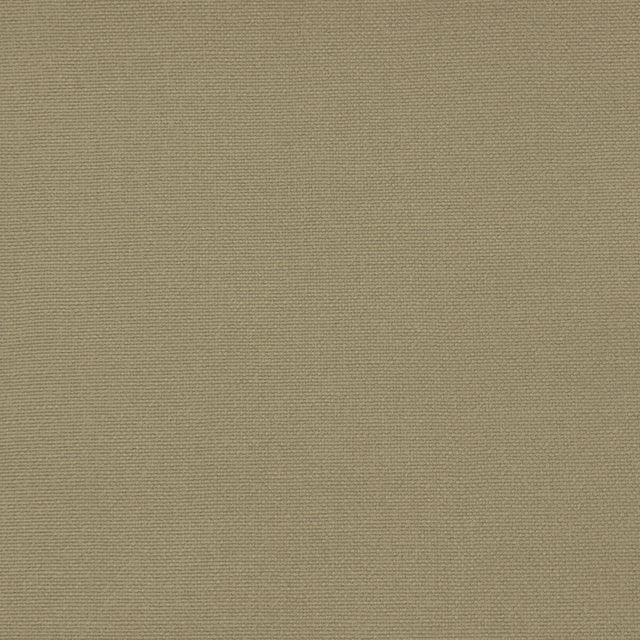 GASTON Y DANIELA GDT5688.064.0 PALMA CARACOL Fabric - Eade's Wallpaper