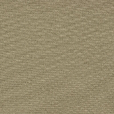 GASTON Y DANIELA GDT5688.064.0 PALMA CARACOL Fabric - Eade's Wallpaper