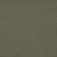 GASTON Y DANIELA GDT5688.065.0 PALMA TORTUGA Fabric - Eade's Wallpaper