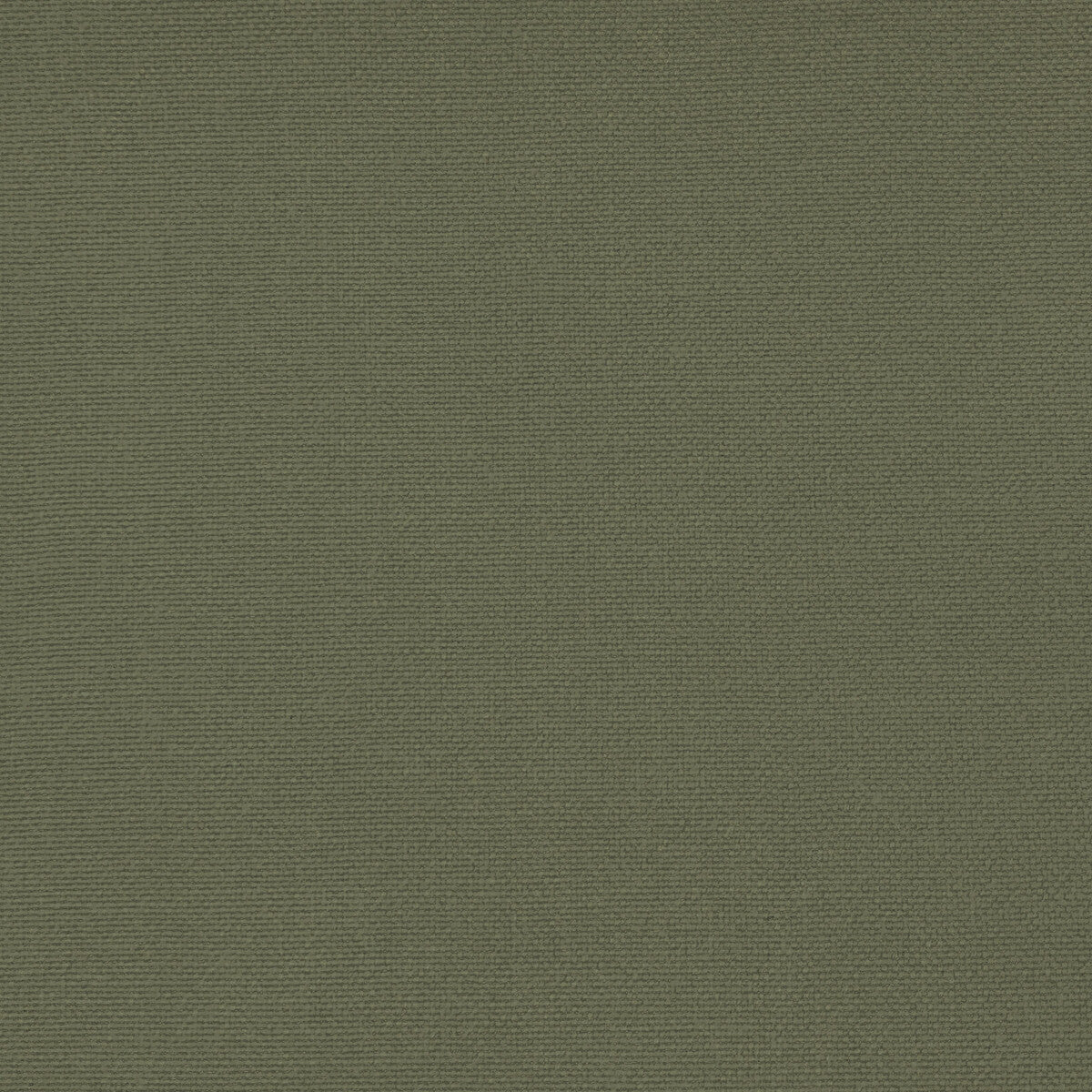 GASTON Y DANIELA GDT5688.065.0 PALMA TORTUGA Fabric - Eade's Wallpaper