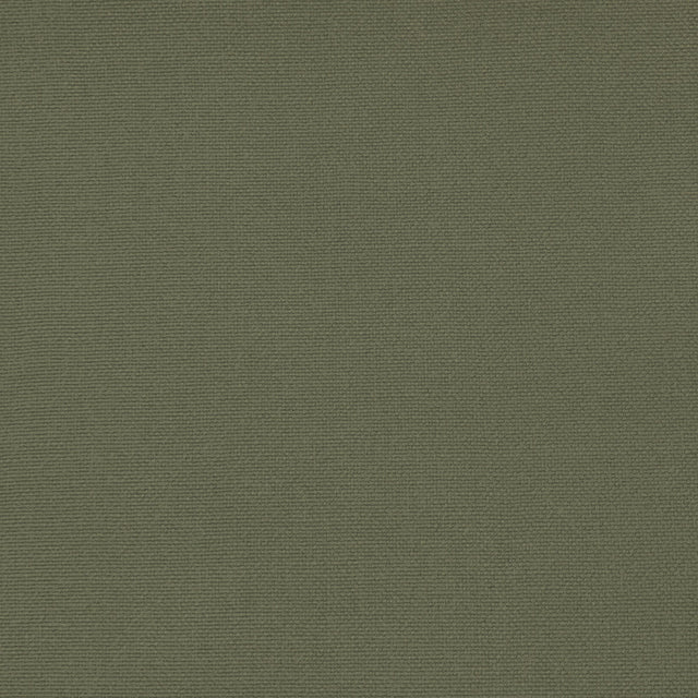 GASTON Y DANIELA GDT5688.065.0 PALMA TORTUGA Fabric - Eade's Wallpaper