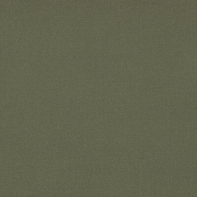 GASTON Y DANIELA GDT5688.065.0 PALMA TORTUGA Fabric - Eade's Wallpaper