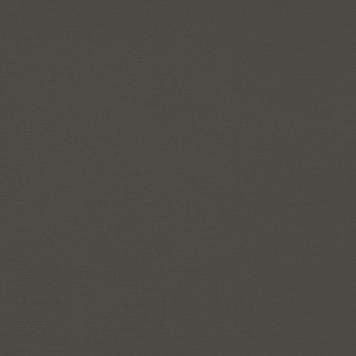 GASTON Y DANIELA GDT5688.075.0 PALMA CENIZA Fabric - Eade's Wallpaper