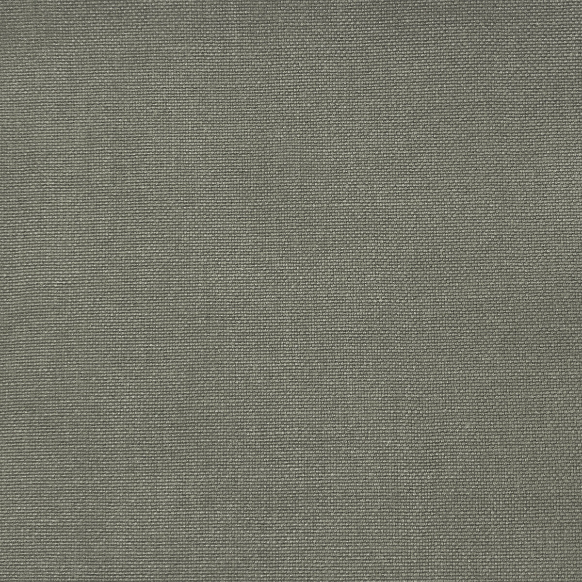 GASTON Y DANIELA GDT5688.077.0 PALMA GRIS Fabric - Eade's Wallpaper