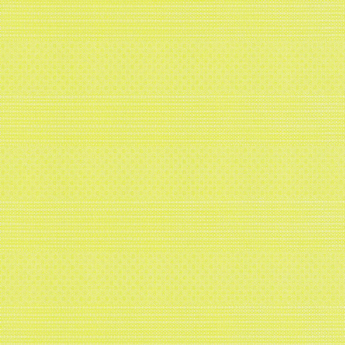 GASTON Y DANIELA GDT5697.004.0 KAILAS LIMA Fabric - Eade's Wallpaper